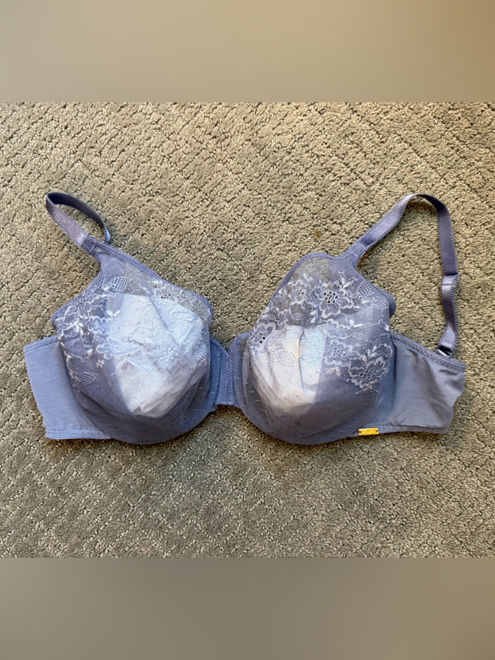 NWOT Gossard Mesh/Lace Bra; Purple/Blue; Size 34F